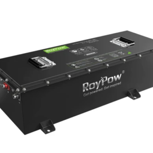 Lithium Ion Phosphate RoyPow 51.2V/160Ah battery-Full conversion package.