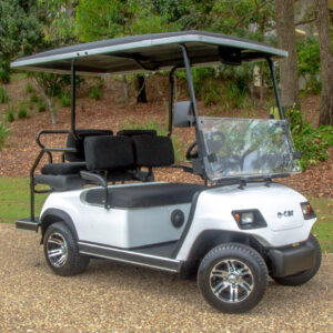 ECAR Lithium A4 Golf Cart Carts'n'Parts