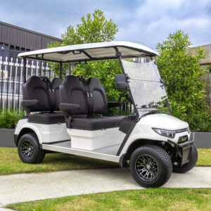 ECAR Lithium Magnum 4LR Golf Cart The Ultimate Resort Cart