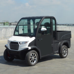 ECAR S-Series 2 Seat Utility Golf Cart Carts'n'Parts