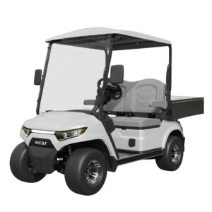 The Ultimate Work Mate: ECAR Lithium Magnum 2UL Golf Cart
