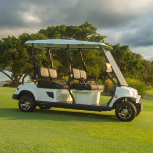 Tomberlin E-Merge Revenge 4 Forward Facing Seat Golf Cart